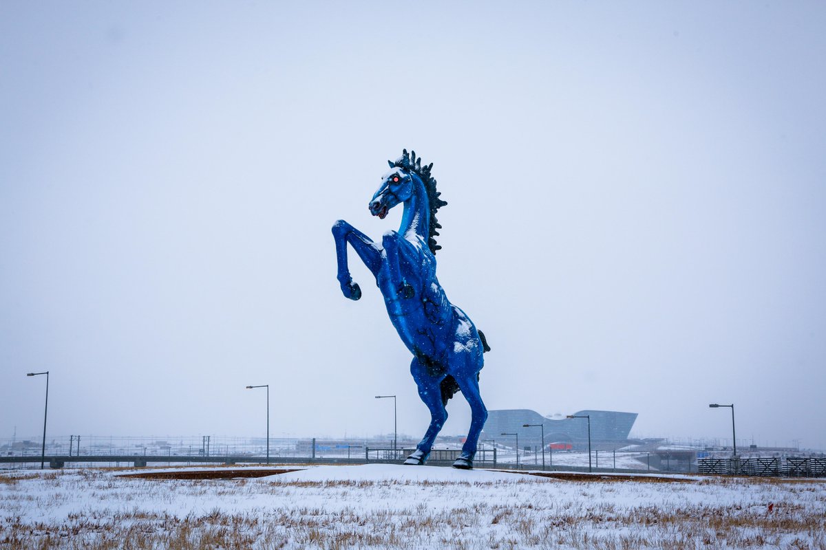 Snow is falling at DEN. Be sure to check your flight status before heading to the airport, and if you're driving, drive with caution as the roads are wet. P.S. Anyone have a sweater for Mustang? 😉 #cowx