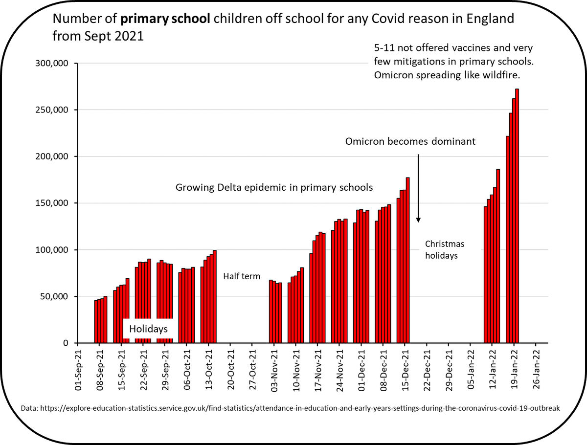 chrischirp's tweet photo. Latest DfE data shows bad situation. 

400K kids off cos of Covid on 20 Jan. 

Worst are primary schools where 6.2% of kids are off for Covid vs 3.6% of secondary school kids. 2 weeks into term.

But cases growing in 2ndry school too - and gov just removed masks.

Protect schools https://t.co/JQRpSfPKlf