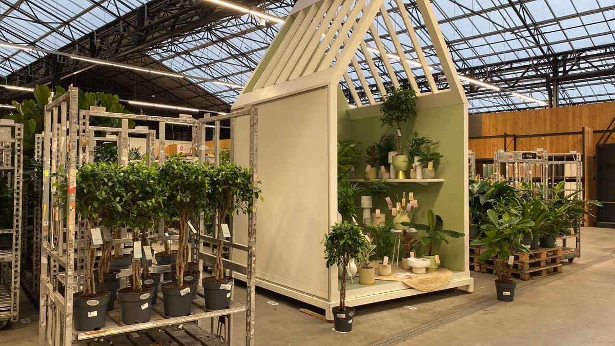 Vandaag meet&amp;greet met kwekerij Fikona in de GTC van <a href="/byWaterdrinker/">WaterdrinkerAalsmeer</a> gedaan. Super leuk om de klant van de C&amp;C zelf eens te spreken en te informeren over de kwekerij 🙌🏼🙏🏼🌿