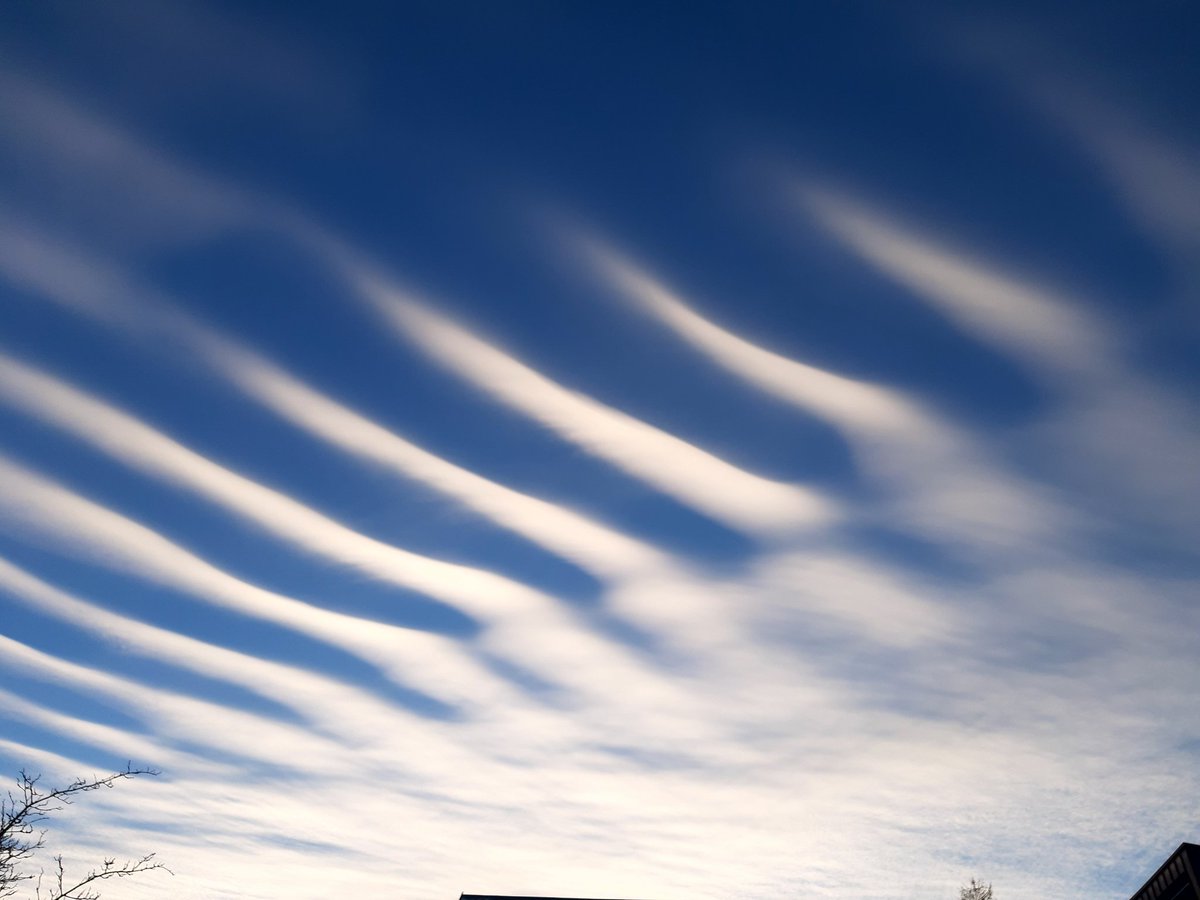 Biozwerg's tweet photo. Wie heißen diese Wolken, @wind_berlin ? Stratocumulus? https://t.co/yCGoM6tvG3