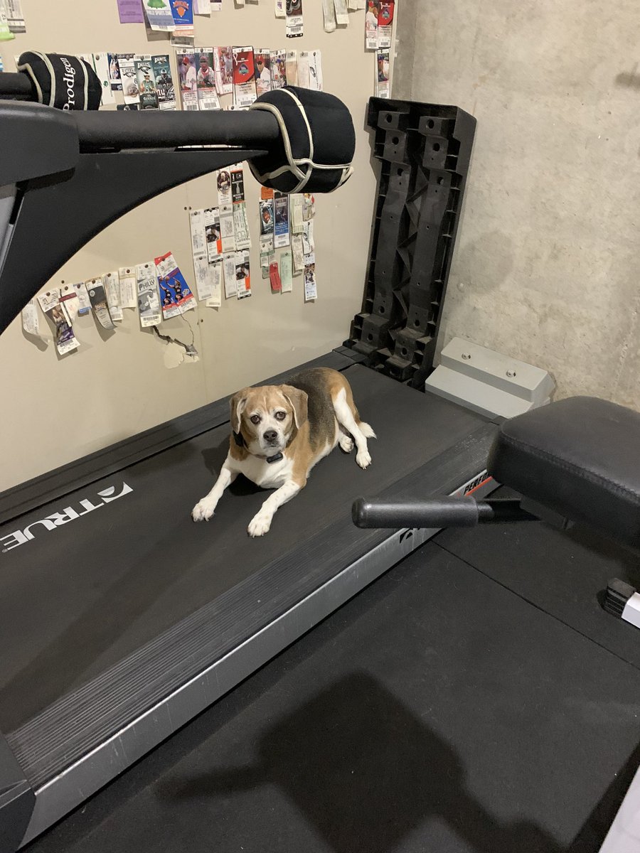 tavodave's tweet photo. @AlisonAgosti Tavy Gym https://t.co/3YMwmg8x4j