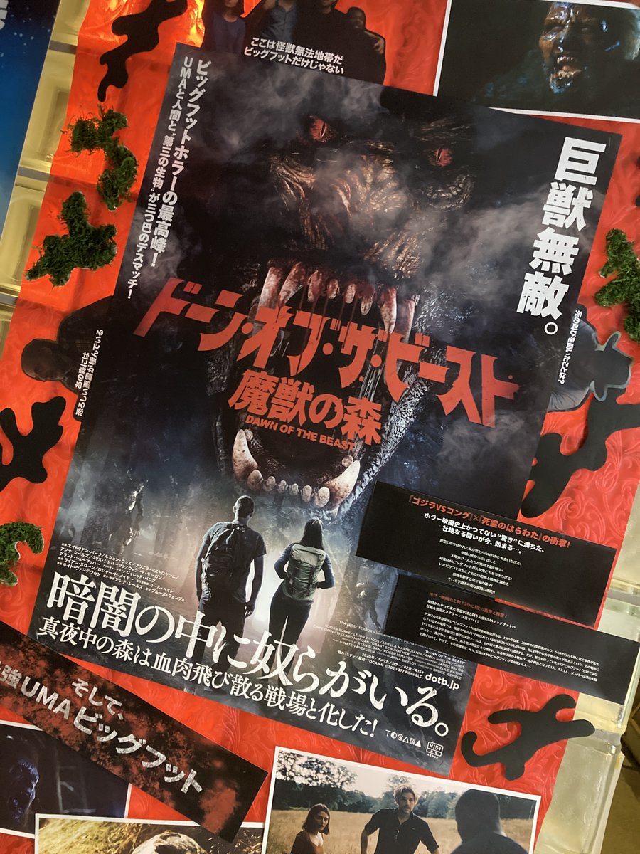cinemaJandB's tweet photo. 🦧ジャック＆ベティ的ロビー活動 1/26
当館では2022年も、スタッフ競作でロビーで作品を紹介する活動＝ロビー活動を頑張ります。
ご来場の際は、様々に彩られた展示をお楽しみください。
#私は白鳥
#ドーン・オブ・ザ・ビースト
#世界を変えなかった不確かな罪
#パーフェクト・ノーマル・ファミリー https://t.co/RNT3xcMwI9