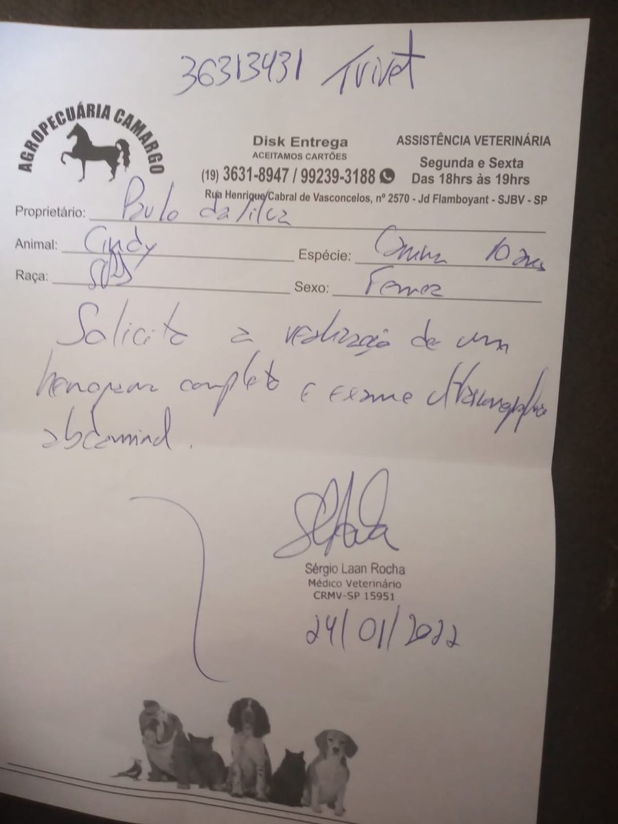 CotocoGod's tweet photo. Esses são os exames que o veterinário passou 
Meu pix é cotocogod@gmail.com

@Gaules @fillipebt @Casimiro @TheDarknessPGDM https://t.co/8uL2yow8Mf
