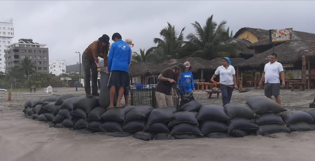 WildAid Latinoamérica tweet media
