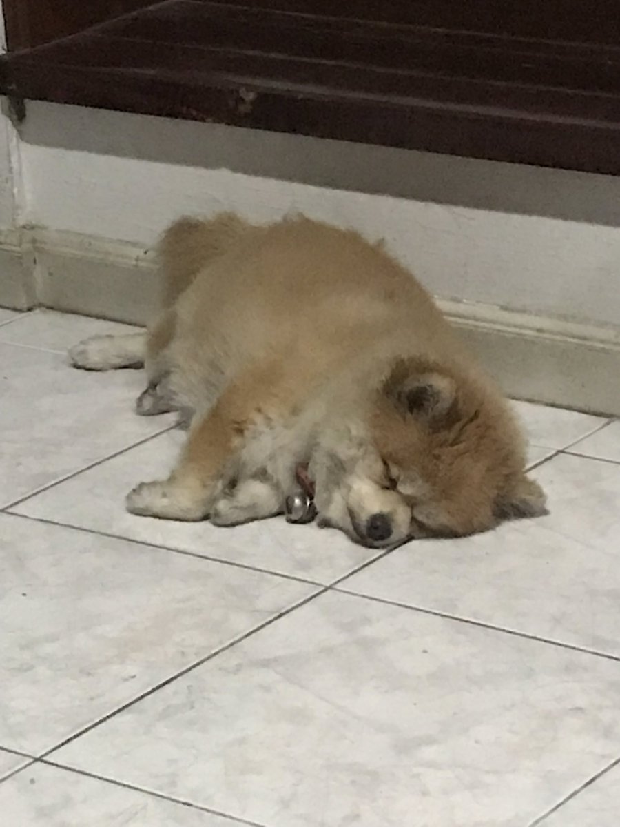 บุ๋งๆๆๆ