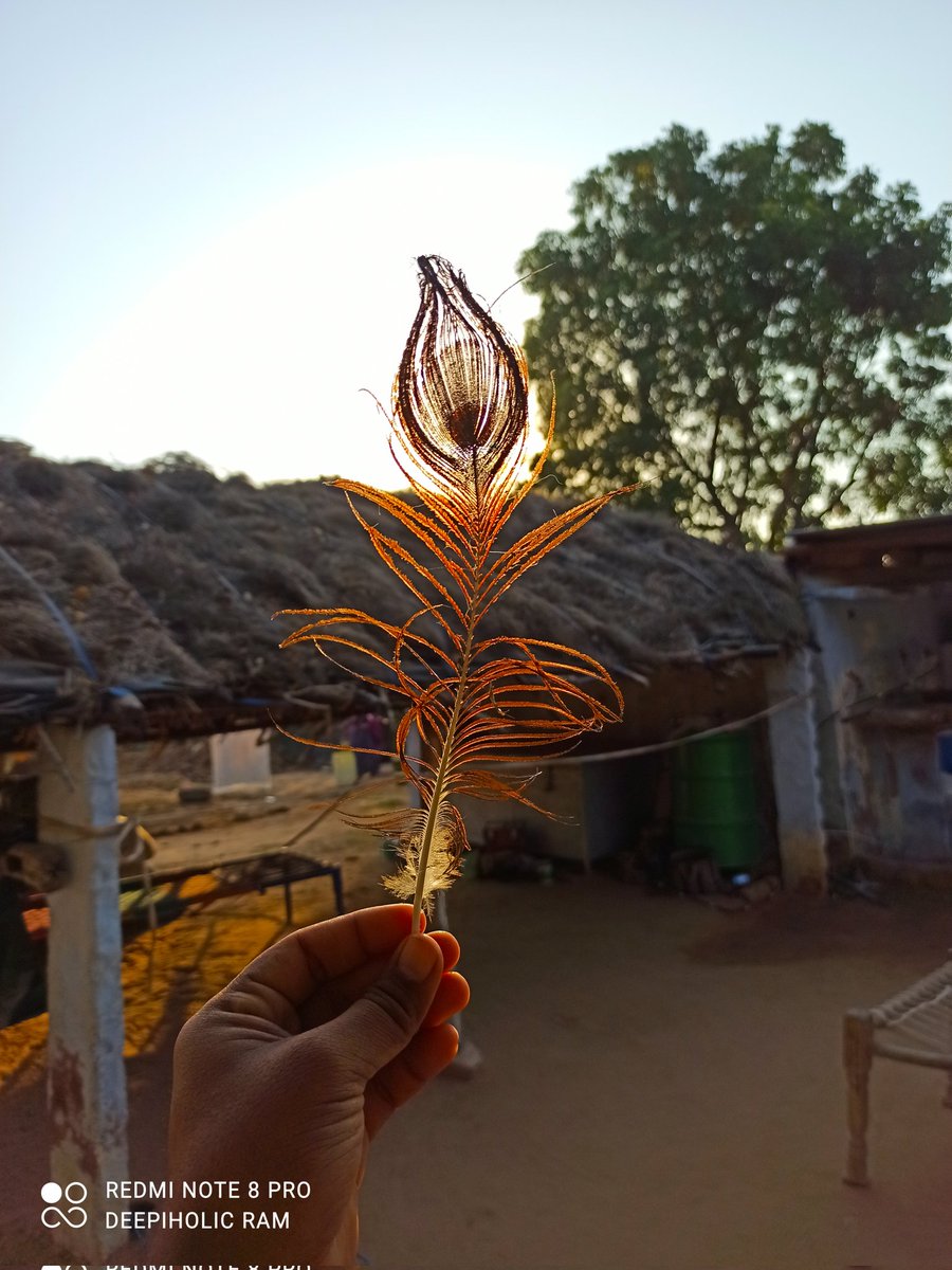 deepiholic_ram's tweet image. Captured From Redmi Note 8 Pro .
#TeamTechWiser 
#RepublicDay