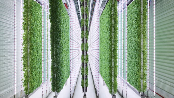 <a href="/FinistereAg/">Finistere Ventures</a> congratulates <a href="/plenty/">Plenty®</a> on their <a href="/Walmart/">Walmart</a> partnership and $400m Series E round!  WOW!!!
Fresh, nutrient dense, no-pesticide greens for all!
x.com/plenty/status/…
<a href="/akukutai/">Arama Kukutai</a> <a href="/SpencerM_VC/">Spencer Maughan</a> <a href="/Ingrid_Fung/">Ingrid Fung</a> 
#FinistereVentures #PlentyforAll