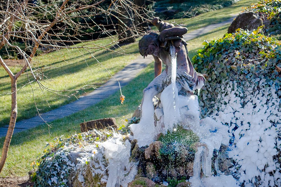 visitMSV's tweet image. Get a behind-the-scenes look at #TheMSV gardens in winter on this guided tour led by MSV deputy director, museum operations and director of gardens Perry Mathewes.

MSV members $5; all others: $10. Meet at the garden entrance.

Sign up here sforce.co/3ADmtd9