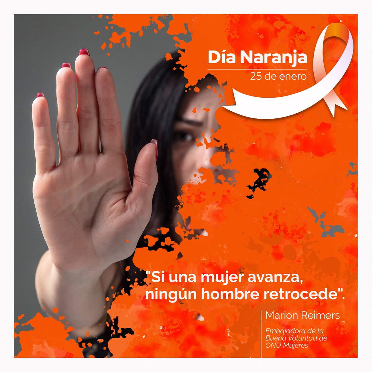 Guillermina Vázquez tweet media