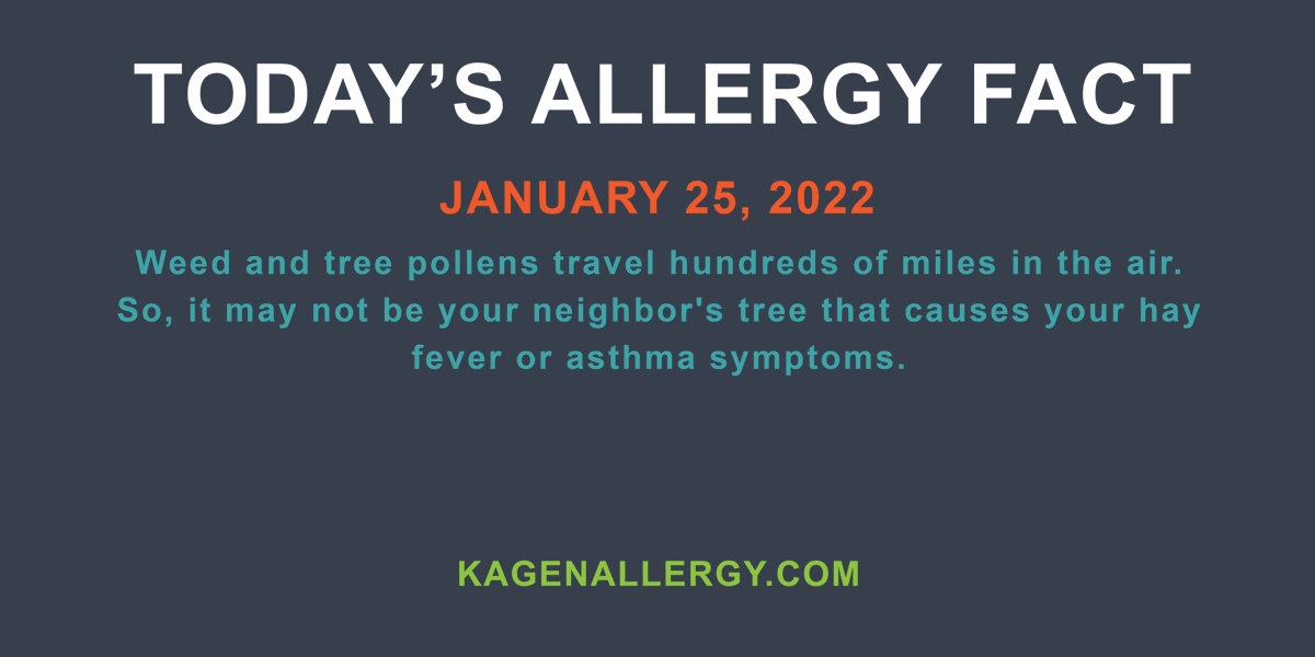 KagenAllergy's tweet photo. Today's daily allergy fact for January 25, 2022. Happy to see you. How may we help? https://t.co/ousbI7RMAO #pollen #allergies #asthma #allergyfacts #allergyhelp #allergylife #allergyseason https://t.co/gcFEiBRBa5