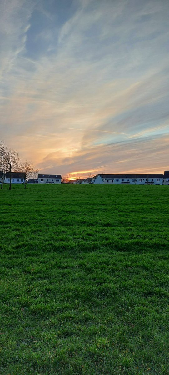 Donna Spratt tweet media