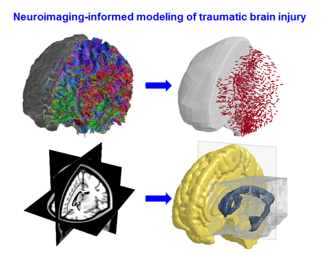 Neuronic_KTH's tweet photo. Interested in @zhouzhoukth1 ’s recent work on neuroimaging-informed modeling of traumatic brain injury? Make sure to attend the online seminar this Friday at 14:00. No registration is needed.
Zoom link: https://t.co/iED5af7h7M https://t.co/Uf1TU2cpVa