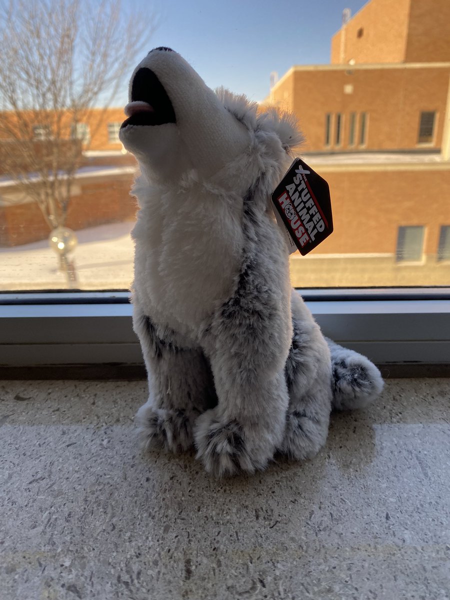 Alexus Townsend tweet media