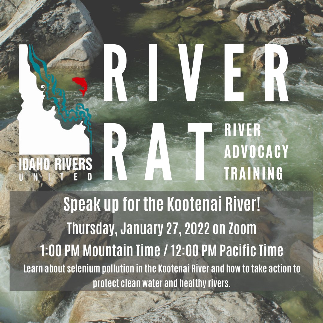 IdahoRivers's tweet photo. Join us this Thursday on Zoom for the first River RATs of 2022! Participants will learn about selenium pollution in the Kootenai River and how you can take action to protect clean water.
Learn more and sign up here: https://t.co/49liaINaIG https://t.co/cMWrI6ECrL