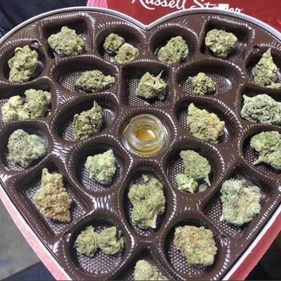 pedestrian's tweet image. 