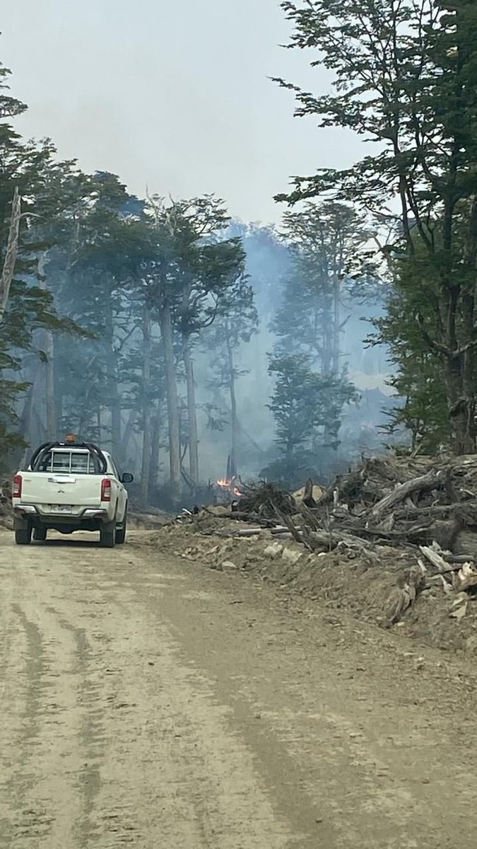 ScacMagallanes's tweet photo. 🚨🔥 [Alerta Magallanes]
Incendio en Tierra del Fuego en los límites del Parque Karukinka. 
Es urgente que se contenga ahora antes de que pase a mayores. https://t.co/UNeLpDSLfU