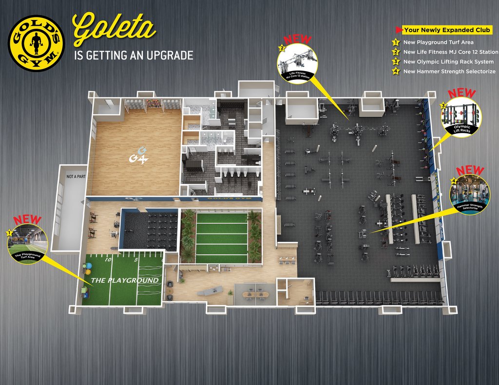 Golds Gym Layout