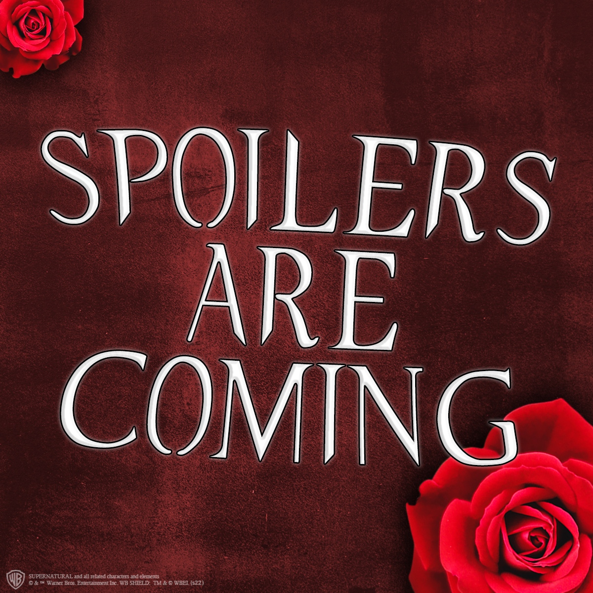 SupernaturalBox's tweet photo. The first Spring Supernatural Box spoiler will be revealed tomorrow! 👀 Keep an eye on our Instagram page: https://t.co/vKkLEezbg9 https://t.co/f2z9qQ3GLT