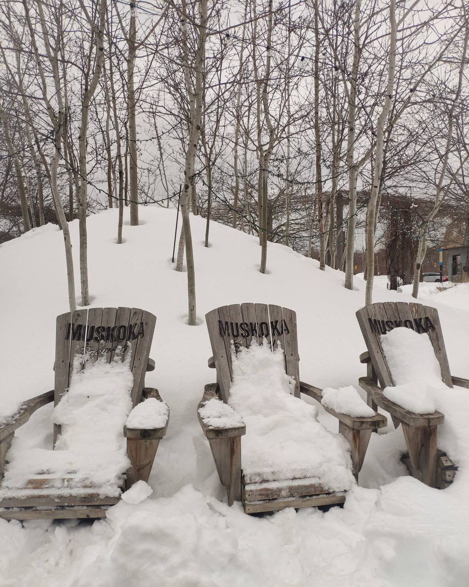 TaniaSatinez's tweet photo. Aquí te puedes sentar tranquilamente a tomar el fresco, con unas cervecitas!! 😂🍺
#canada #toronto #snowday #snowseason #snowy #nieve #nevada #parques #torontoeninvierno #wintervibes #winterintoronto #winterwonderland #winterstyle #nature https://t.co/9KJQ73fmwj