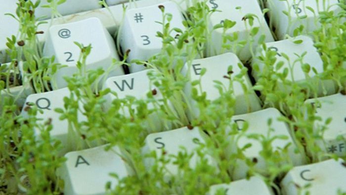 sofecomIT's tweet photo. ¿Cómo la tecnología está salvando a nuestro planeta? --> https://t.co/Orz48UEADD
#tecnología #medioambiente https://t.co/FuWbUG00CG