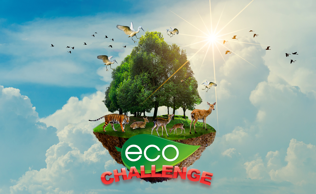 SmartyEventos's tweet image. ¡Descubre nuestra nueva experiencia! la importancia de la conservación del medio ambiente, el reciclaje y la sostenibilidad te harán ir tras la pista de una misteriosa planta que promete ser una de las salvaciones del planeta. 🌱
smartyeventos.es/actividad-medi…