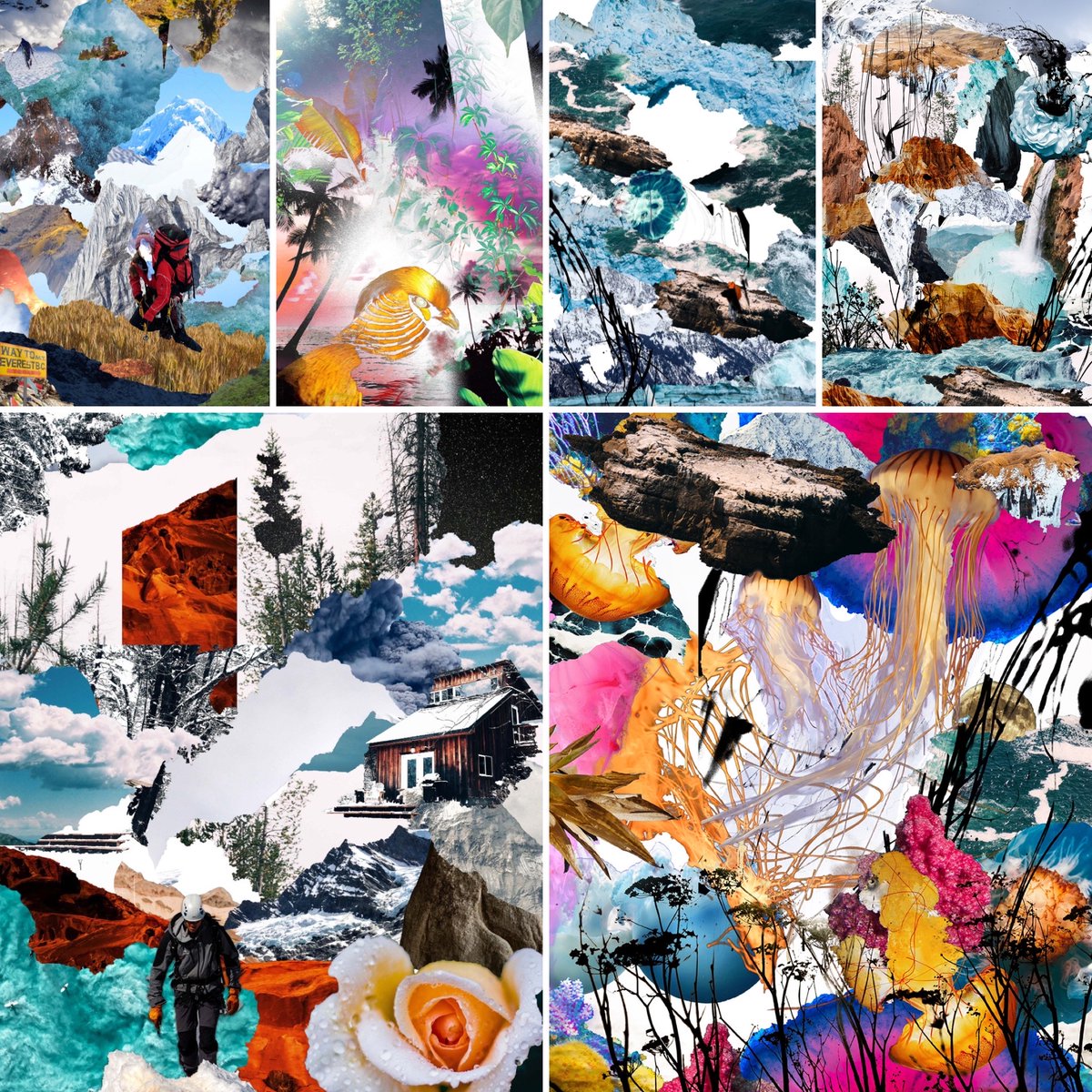 OmegaCollages's tweet image. Hi #NFTCommumity !! I just minted some fresh #collageart ! Floor price is 0.01 ETH !!! Link to the collection here: opensea.io/collection/the…
