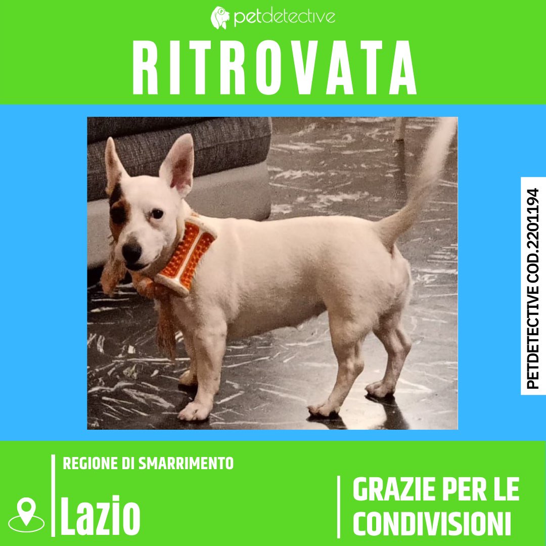 PetDetective_IT's tweet photo. 🎉🎉🎉
RITROVATA LUNA
Grazie a tutti per l’aiuto.
————
#roma #lazio #animalismarriti #petdetectiveitalia #caneritrovato #finddog https://t.co/6V8UQdxStC