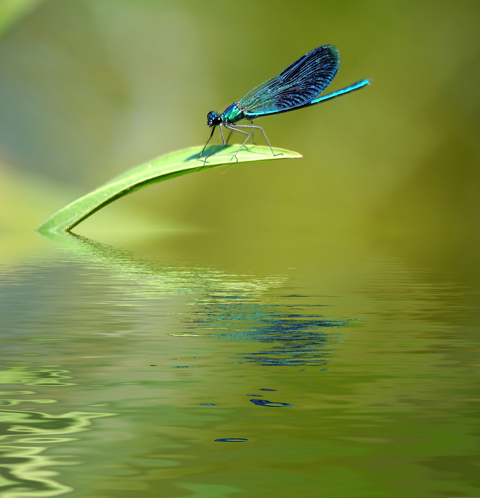 InnovationBrokr's tweet image. Our two guest speakers at Clustre’s next ‘Innovation Talk’. are Simon Hill the CEO of Wazoku – a leading ideas management platform and Ben Murray the CEO of Avieco – one of the country’s leading firms of sustainability consultants. Register here conta.cc/32wI9el