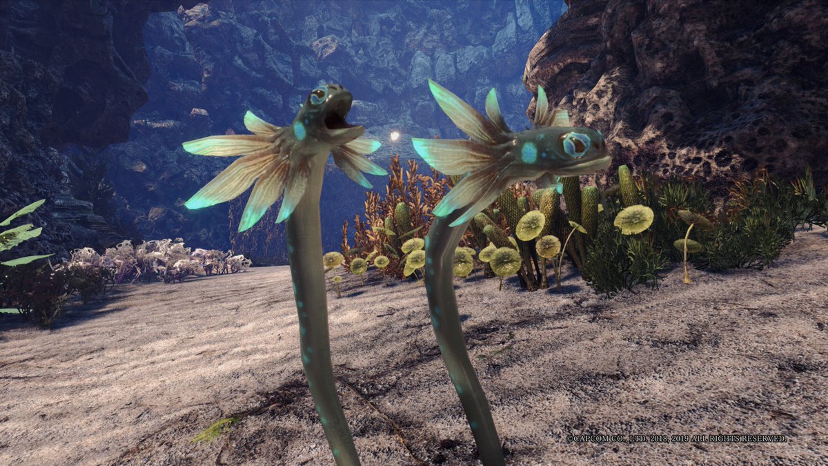 yuxi_noir's tweet photo. Theme: #TCCTwoofakind
#MonsterHunterWorld #MHW #MHW写真部
@capcom_official #VirtualPhotography https://t.co/yJa8VEUa8J
