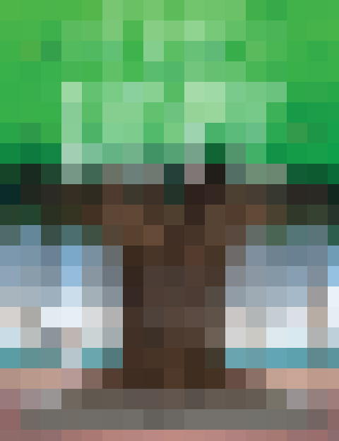 latinxpitch's tweet photo. It's a #LatinxPitch first— a cover reveal.... coming your way on the 31st.
@BoricuaAnna's debut pb THE TREE OF HOPE w/ art by #JuanManuelMoreno is a lesson in the power of community, resilience & never giving up. A perfect metaphor for all of us on our path to publication. https://t.co/KlrLZ2wiir