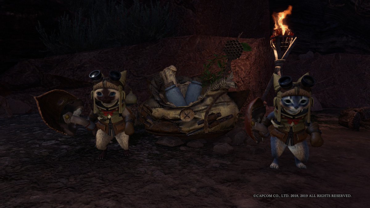 yuxi_noir's tweet photo. Theme: #TCCTwoofakind
#MonsterHunterWorld #MHW #MHW写真部
@capcom_official #VirtualPhotography https://t.co/yJa8VEUa8J