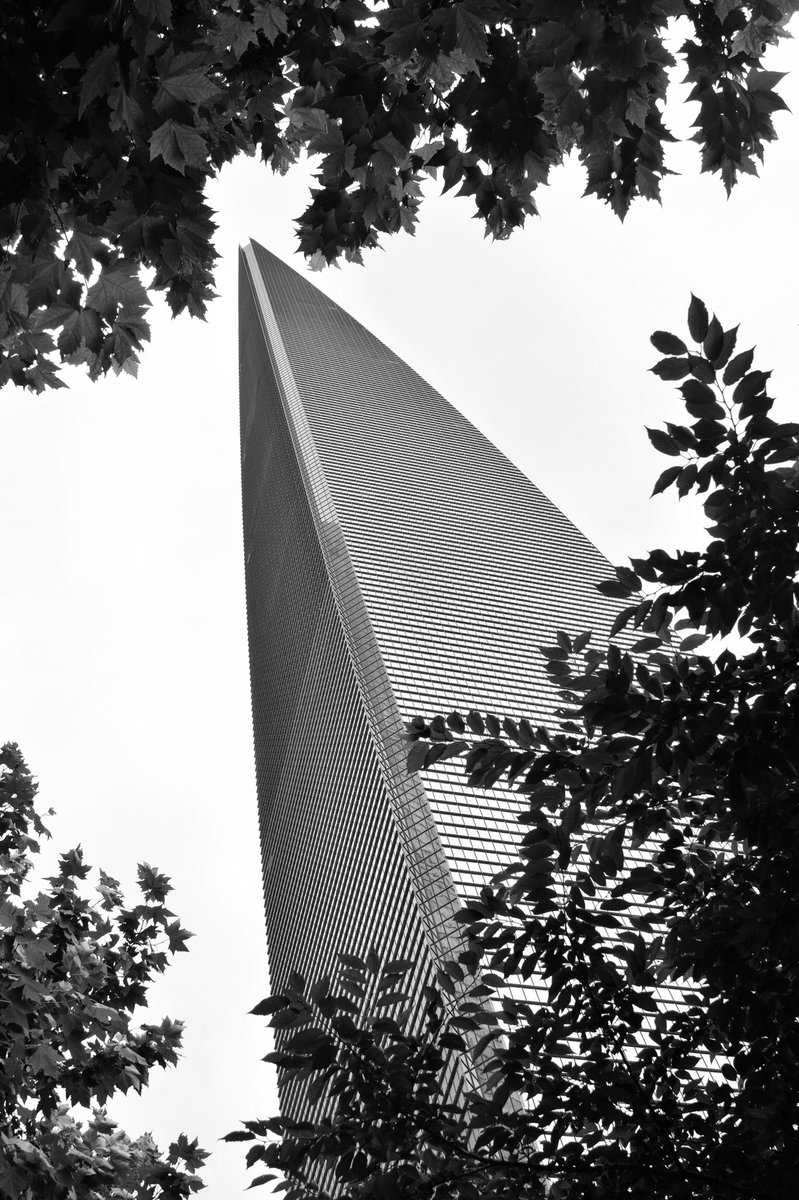 ConsumerDavid's tweet image. #blackandwhitephotography #shanghai #architecture