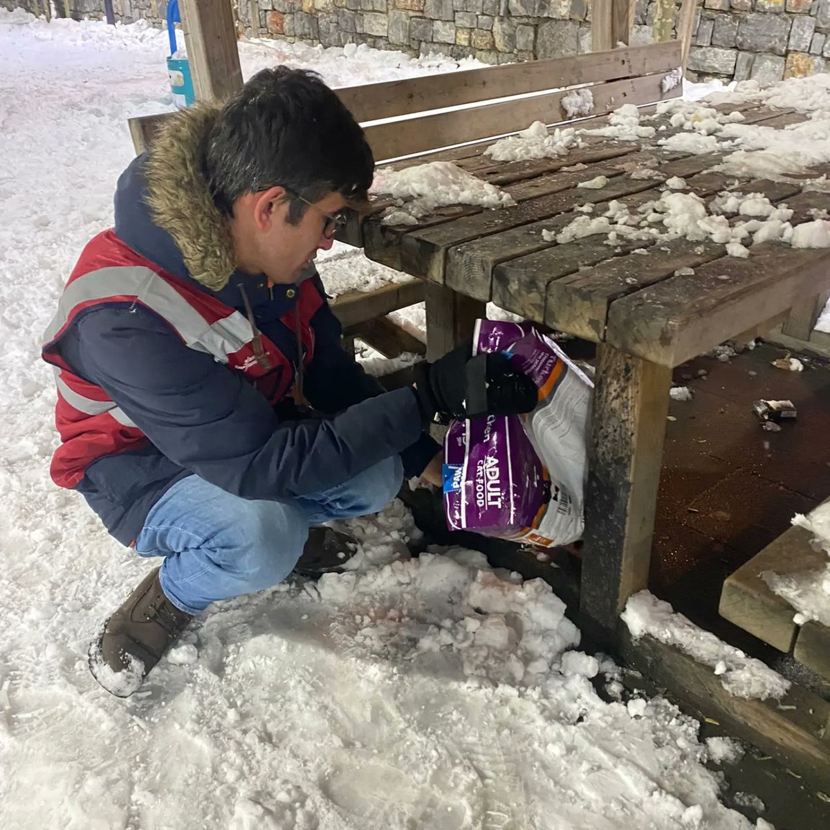 chpgencsncktepe's tweet photo. Sancaktepe gençlik kolları olarak bu soğuk kış günlerinde sokakda bulunan canlarımızı unutmadık, sokakda yaşayan canlarımız için ilçemizde Bulunan belirli noktalara mamalar bırakarak karınlarını doyurmalarına vesile olduk. Emeği geçen tüm yol arkadaşlarımızı teşekkür ederiz https://t.co/GmRx4pyrHv