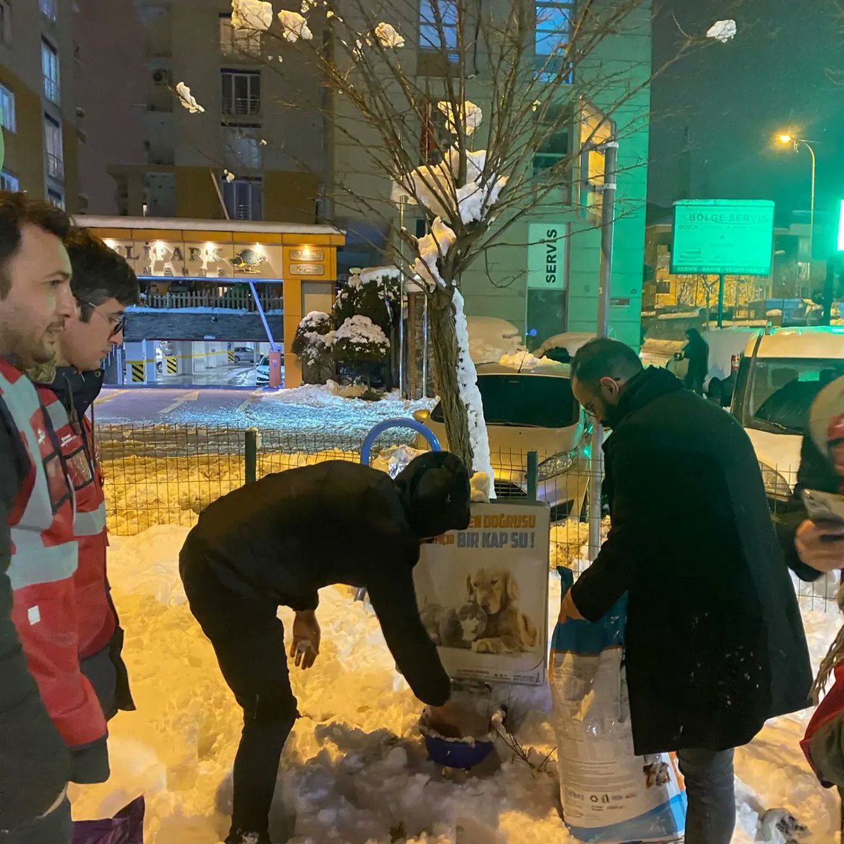 chpgencsncktepe's tweet photo. Sancaktepe gençlik kolları olarak bu soğuk kış günlerinde sokakda bulunan canlarımızı unutmadık, sokakda yaşayan canlarımız için ilçemizde Bulunan belirli noktalara mamalar bırakarak karınlarını doyurmalarına vesile olduk. Emeği geçen tüm yol arkadaşlarımızı teşekkür ederiz https://t.co/GmRx4pyrHv