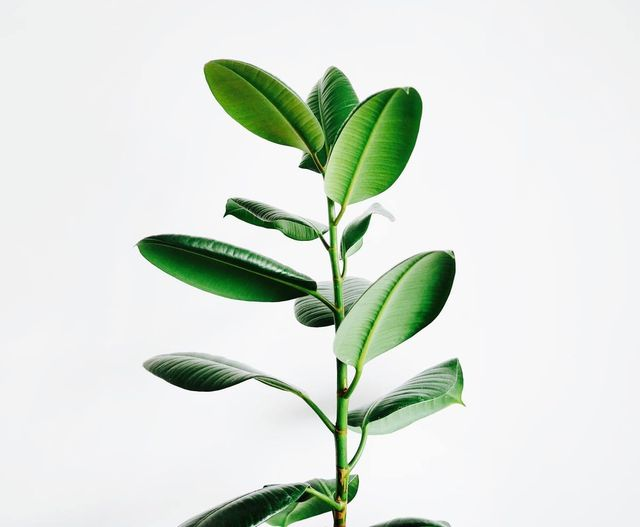 RCA_Multiply's tweet photo. Why plant with us? Because we love our church plants well. Thanks to strong partnerships with RCA Board of Benefits Services and the Church Growth Fund, our planters are equipped and supported in every stage of starting a new church. https://t.co/juURpktA1H https://t.co/bXUD0e28Ts