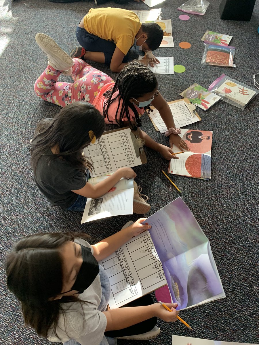 Megan Zelasko tweet media