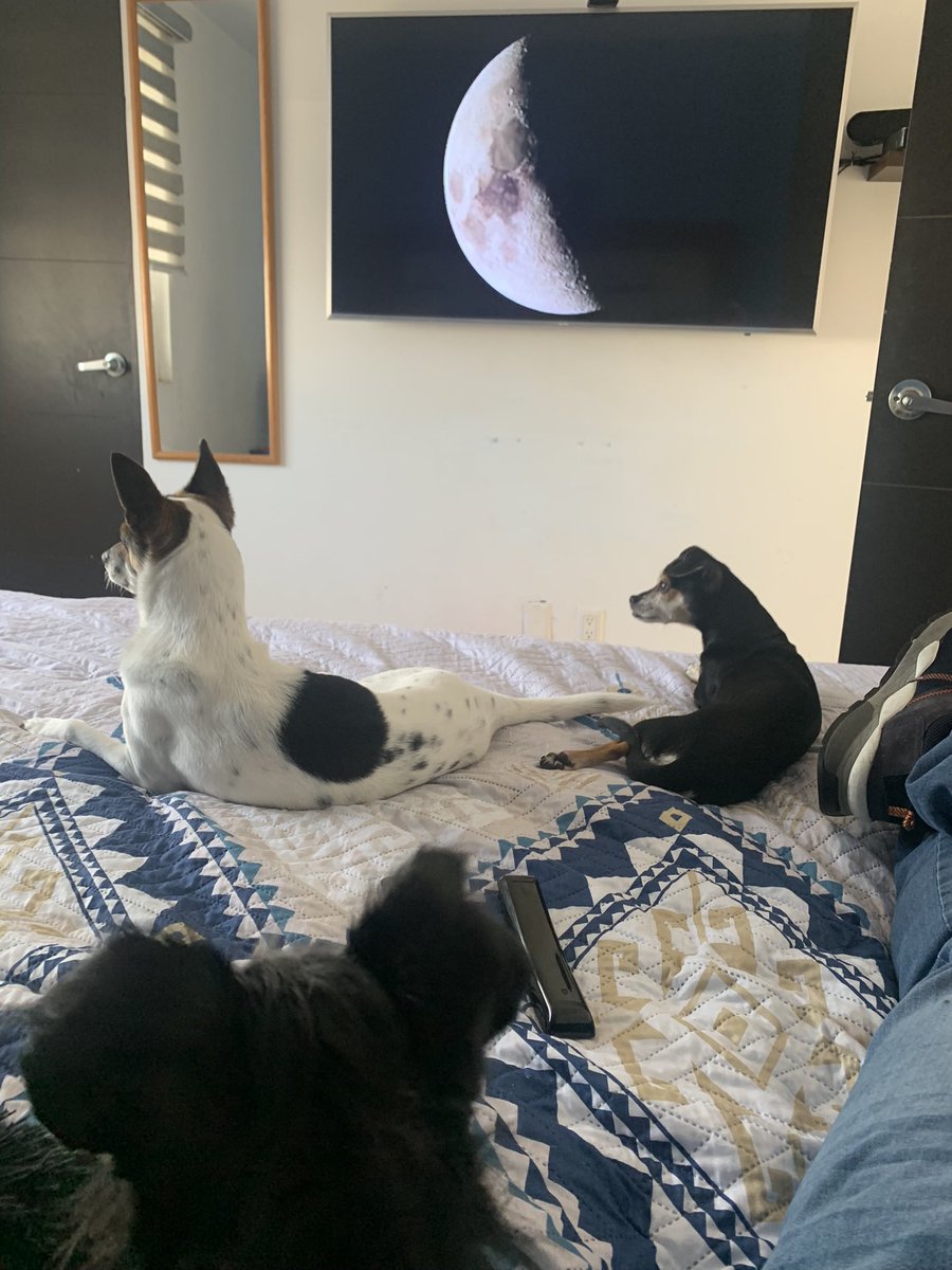 CharlyMoon27's tweet photo. #moon #rest #SundayMorning https://t.co/82QqyXviu0