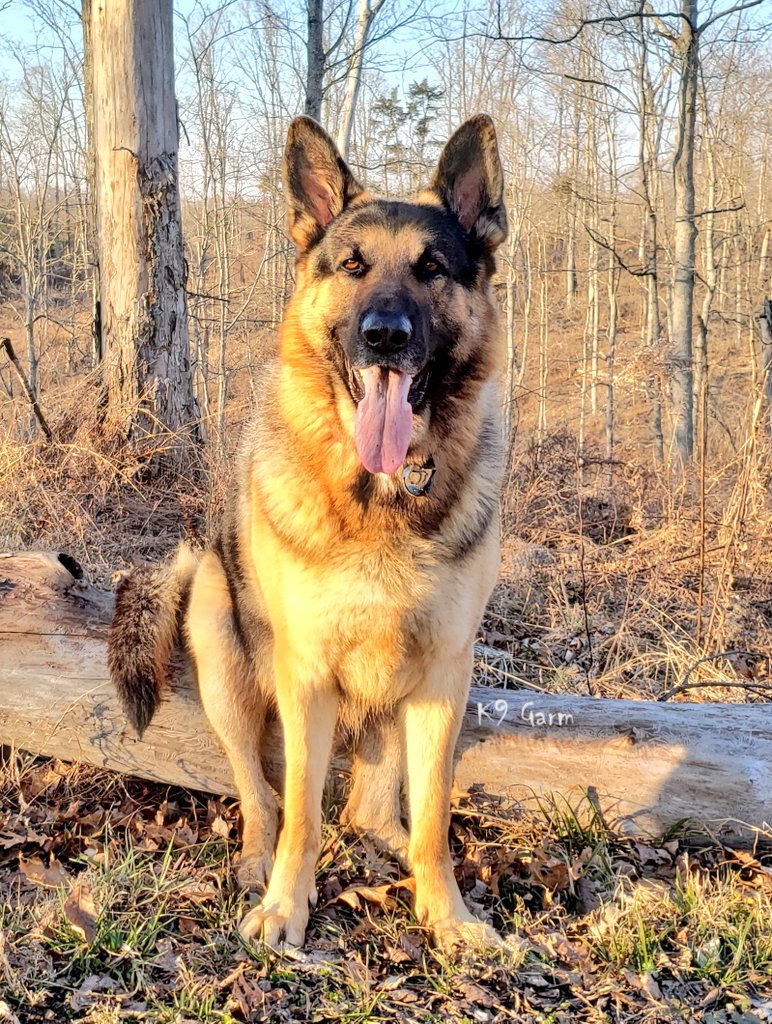 Sometimes a tree will fall in a spot that makes a good spot to sit and enjoy the land so we leave it be. This is one of those spots.