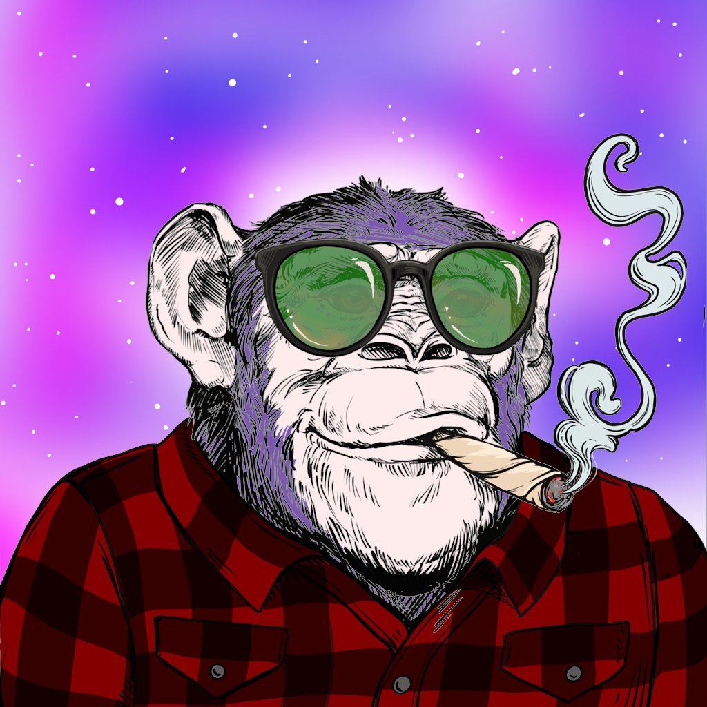 Kaylagianna02's tweet photo. Primate #NFTGiveaway! 1️⃣ Primate Social Society #NFT

🐵Follow me + @PrimatesSociety 
🐵Like, RT, &amp; tag 2 frens
🐵Join https://t.co/Y4GaOBgq5l

Winner in 24hrs 🍀 Babies collection coming soon. Don't miss AMA &amp; @TheApeBilly giveaway below ⬇️

#Giveaway #NFTCommunity #NFTs https://t.co/27CyRalhdR