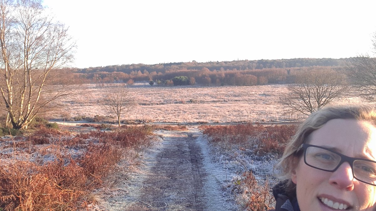 noeggsbert's tweet photo. Absolutely gorgeous cycle back from dropping car off, through Sutton Park for #Day12 of @REDJanuaryUK #redjanuary2022 #Red12 https://t.co/5eWjx9lfMb