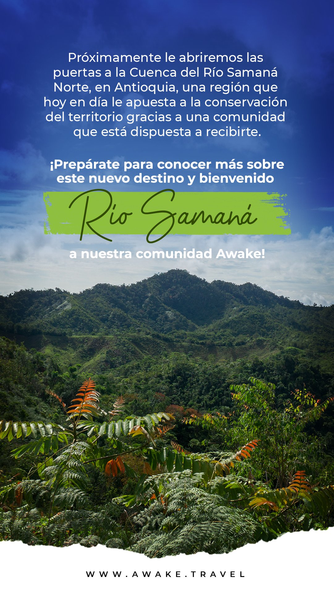 Nos agradamos!🥂A partir del 3 de febrero, sumamos un nuevo espacio a  nuestra Selva 🌿 Contactanos por reservas para reuniones…