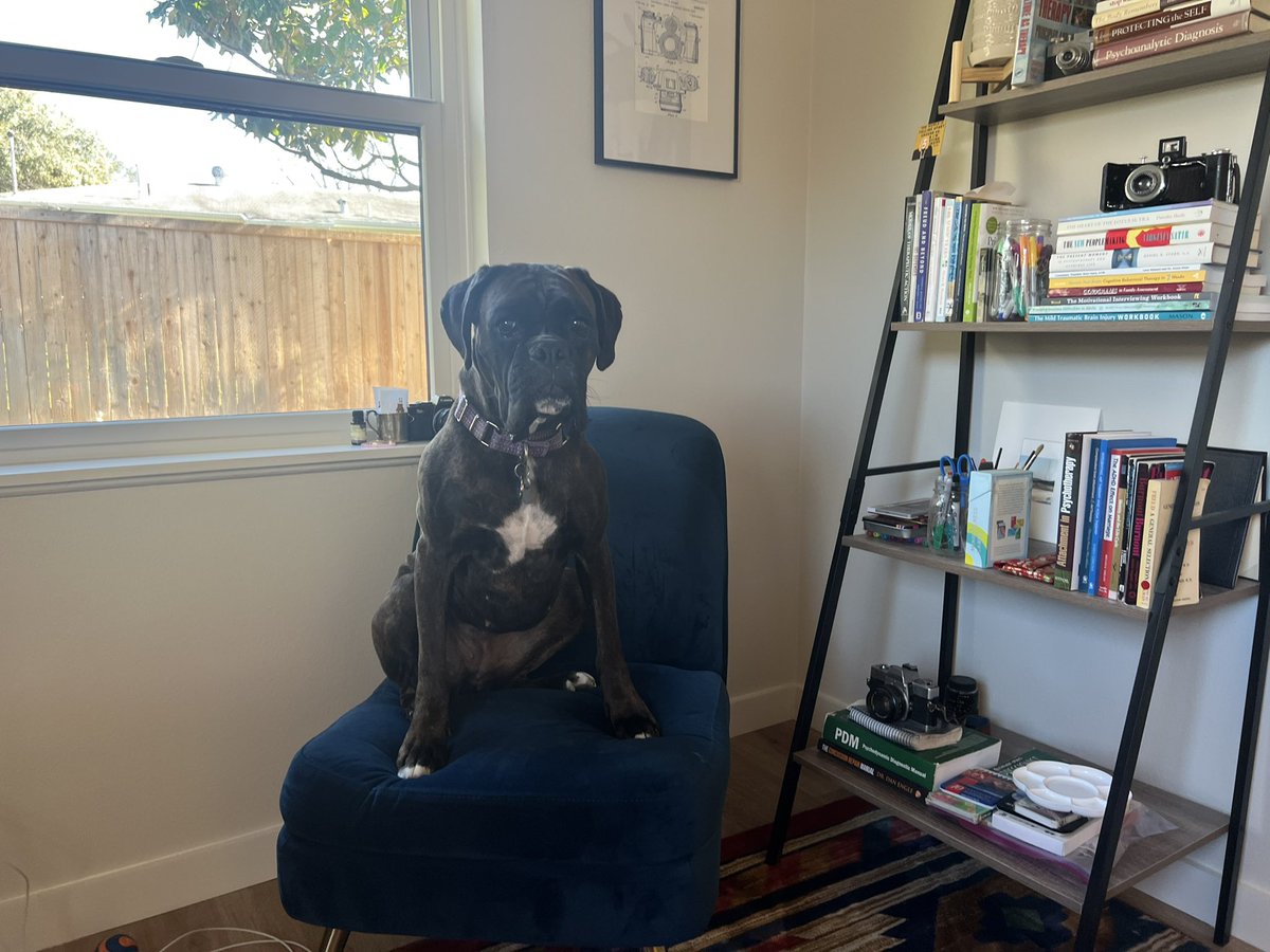 cheryl_lcat's tweet image. Client number one. #therapistproblems #TherapistsConnect #TherapistTwitter