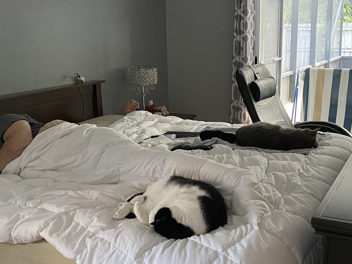 The 3 beings that make my heart beat, collectively snuggled up safe and taking a nap. This is all that matters. PS If you know me IRL don’t tell on me for posting this.