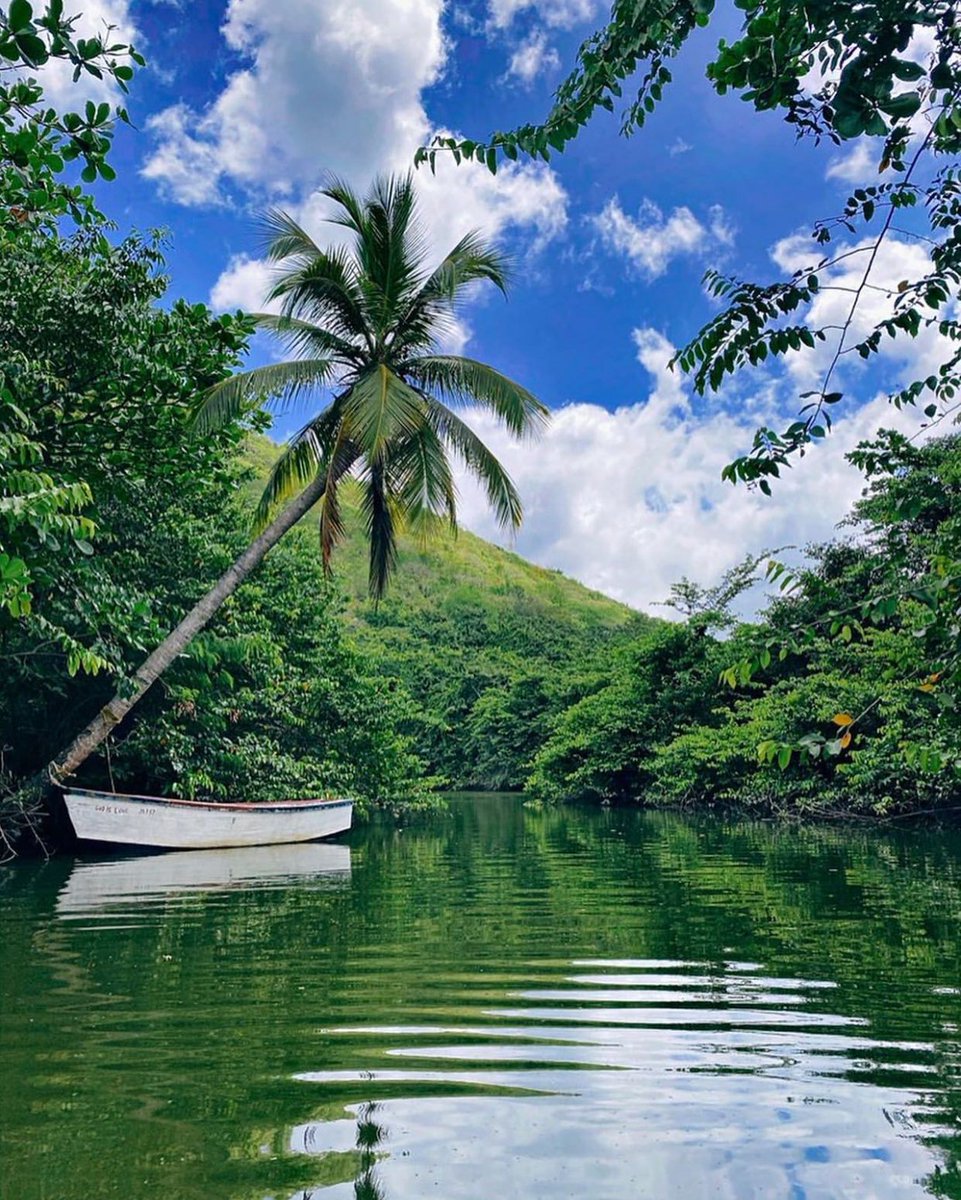 There are two popular Mangrove locations in Saint Lucia, #MarigotBay  #Roseau.  Paddle board along the famous Marigot Harbour, around the cliffs, right into the entrance of the Roseau River.

Photo: @britneybg_ 
#TravelSaintLucia