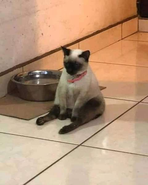 When you realize that collecting big data is great but in the end you have to chase down the genes and understand how they work