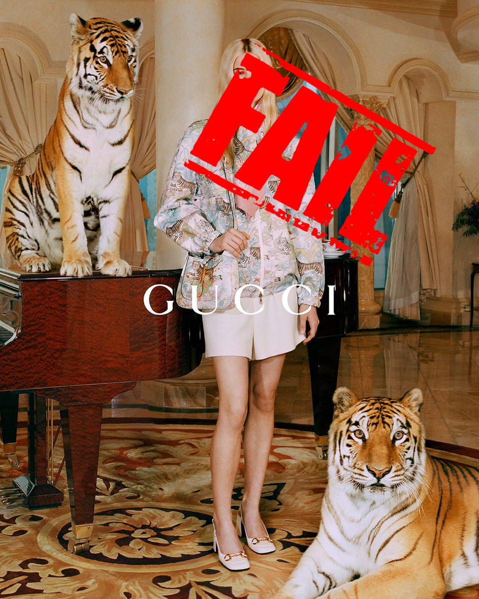 AAP_Europe's tweet photo. Well-known brand @gucci has totally erred with its campaign #GucciTiger, giving the false idea that big cats are pets or luxury items. They are neither. They are endangered, wild animals with complex needs that must live in nature. https://t.co/UpmBDu3ZG1
