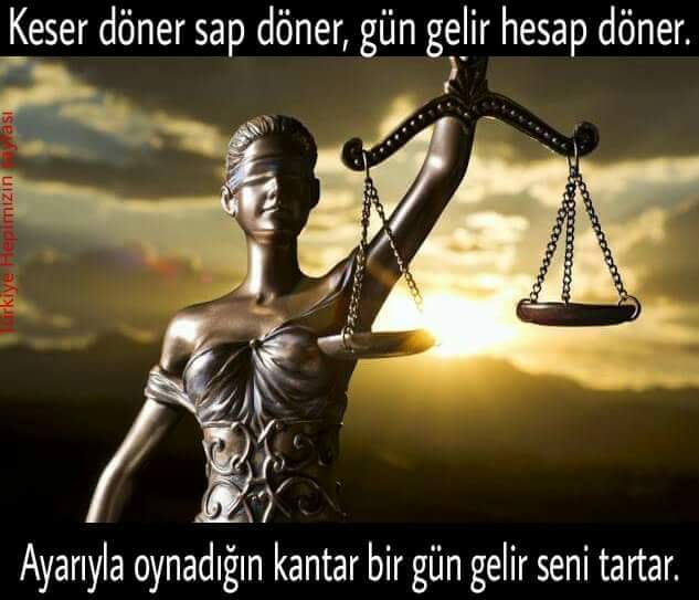 🇹🇷 Ayşe 🐺 KURT 🇹🇷 (@aysem_kurt) on Twitter photo 