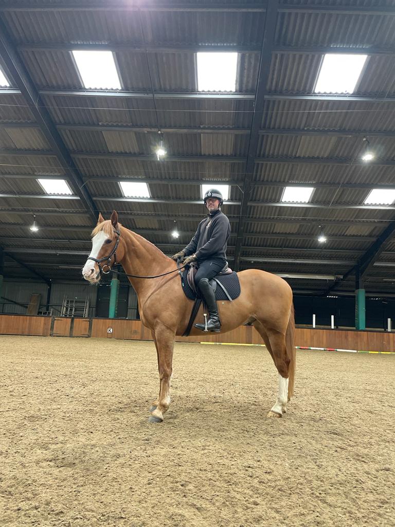 ASPoliceHorses tweet media