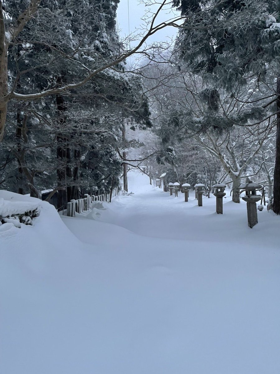 atagojinjya's tweet photo. おはようございます。
今朝の気温は氷点下９度で、天候は雪となっております。
現在の積雪は約３０センチです。
足元に気を付けてお参り下さい。 https://t.co/dRTpJT1OsD
