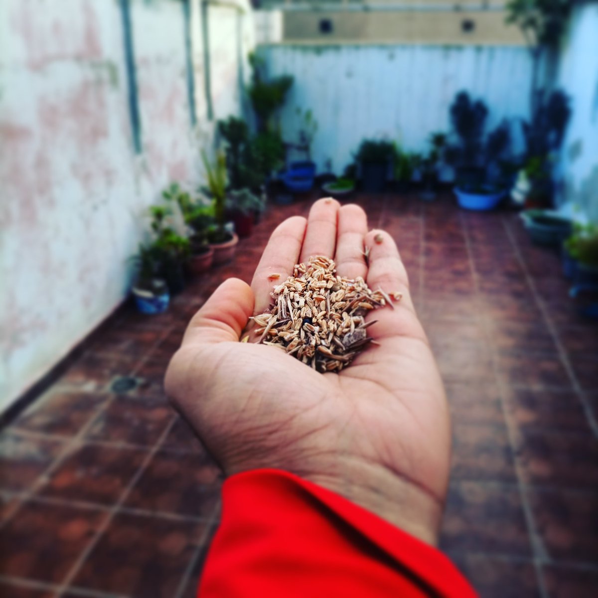 Marouane_kass's tweet image. #infinixnote7 #photography #morocco